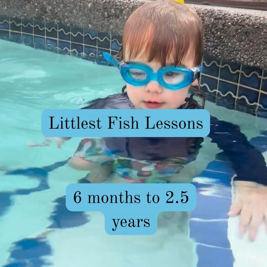 Instagram post from littlefishcalifornia. This post is in position 3.