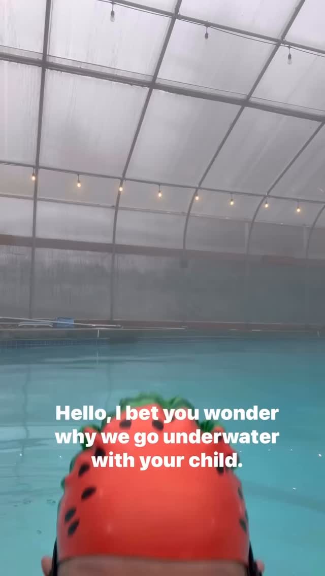 Instagram post from littlefishcalifornia. This post is in position 8.